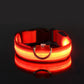 Nylon LED Night Safety Luminous Fluorescent Pet Dog Collar