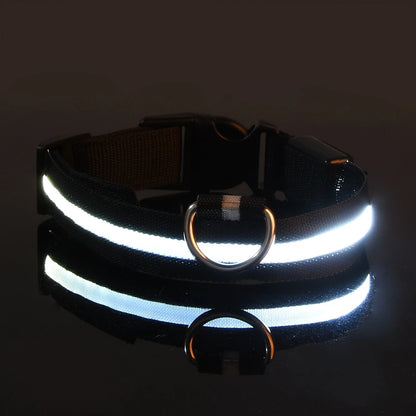 Nylon LED Night Safety Luminous Fluorescent Pet Dog Collar