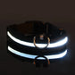 Nylon LED Night Safety Luminous Fluorescent Pet Dog Collar