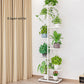 Cordlal Shining Stand For Flowers