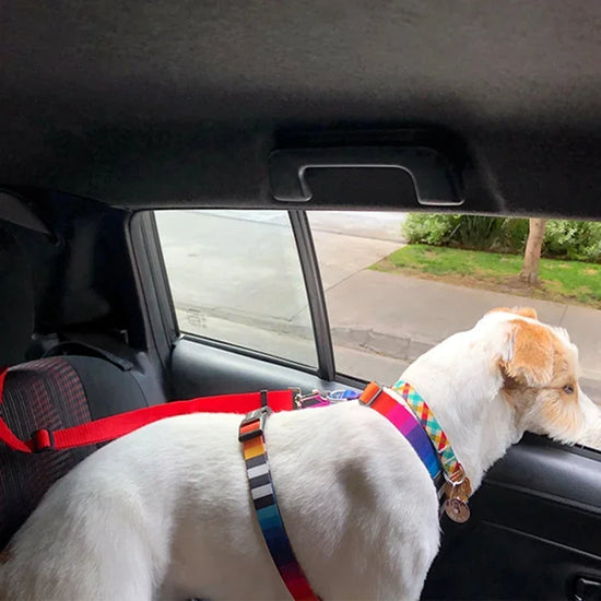 Two-in-one Pet Car Seat Belt with Nylon Lead