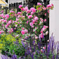 Decorative Outdoor Tall Metal Fence Lattice