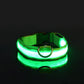 Nylon LED Night Safety Luminous Fluorescent Pet Dog Collar