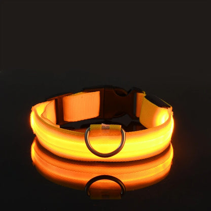 Nylon LED Night Safety Luminous Fluorescent Pet Dog Collar
