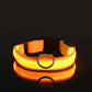 Nylon LED Night Safety Luminous Fluorescent Pet Dog Collar