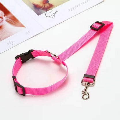 Two-in-one Pet Car Seat Belt with Nylon Lead