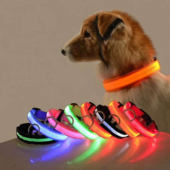 Nylon LED Night Safety Luminous Fluorescent Pet Dog Collar