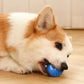Automatic Moving, Bouncing & Rolling Ball