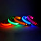 Nylon LED Night Safety Luminous Fluorescent Pet Dog Collar