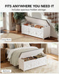 Shoe Storage Bench with Cushioned Seat & Lift Top