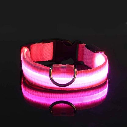 Nylon LED Night Safety Luminous Fluorescent Pet Dog Collar