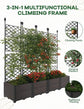 Raised Garden Bed with Trellis Planter