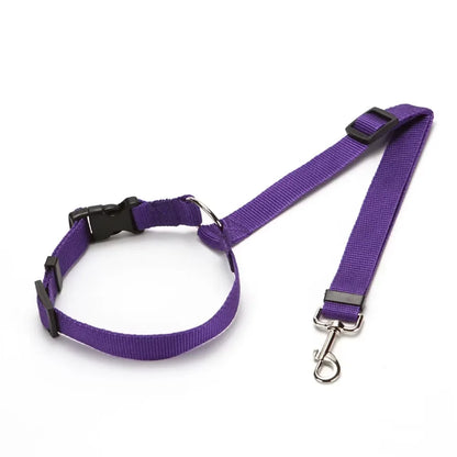 Two-in-one Pet Car Seat Belt with Nylon Lead