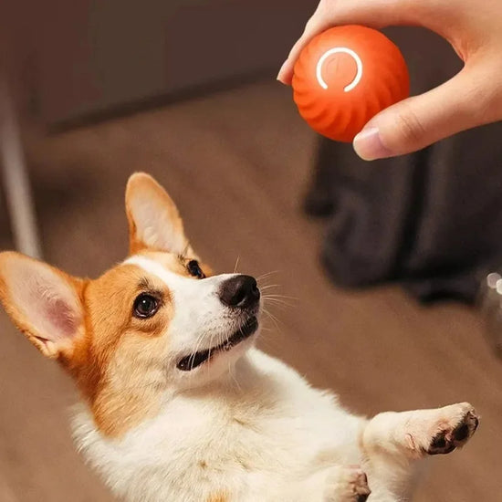 Automatic Moving, Bouncing & Rolling Ball