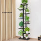 Cordlal Shining Stand For Flowers