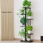 Cordlal Shining Stand For Flowers