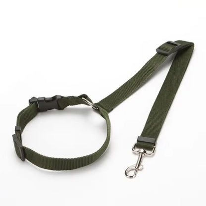 Two-in-one Pet Car Seat Belt with Nylon Lead